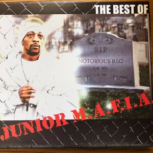 Логотип песни Realms Of Junior M.A.F.I.A. исполнителя Junior M.A.F.I.A., Lil Cease, Chico Del Vec, The Notorious B.I.G.