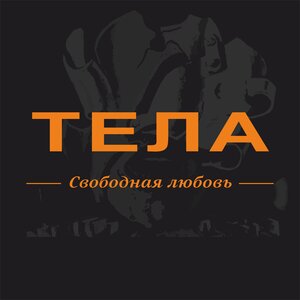 Логотип песни Роботы исполнителя Тела