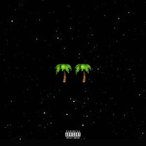 Логотип песни Malibu & Palmwine исполнителя Show Dem Camp, Worlasi