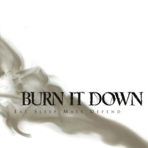 Логотип песни Full Body Immersion исполнителя Burn it Down