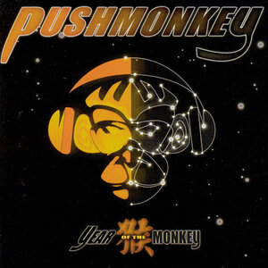 Логотип песни Too Good to Be True исполнителя Pushmonkey