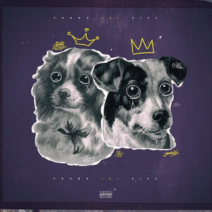 Логотип песни Pies исполнителя Young Igi