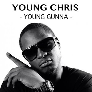 Логотип песни Greystone исполнителя Young Chris, Fat Joe, The Game, Sam Hook