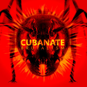 Логотип песни Body Burn исполнителя Cubanate