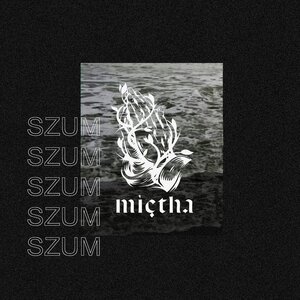Логотип песни Tak jak kiedyś исполнителя Miętha