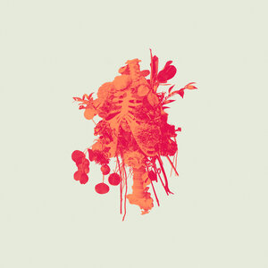 Логотип песни Graves Into Gardens (Morning & Evening) исполнителя Elevation Worship