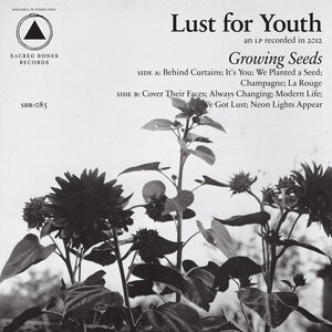 Логотип песни Neon Lights Appear исполнителя Lust For Youth