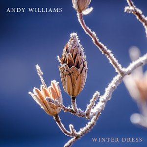 Логотип песни Near You исполнителя Andy Williams
