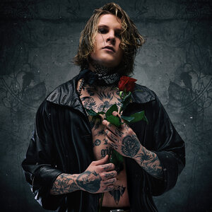 Логотип песни Вэбкамщица исполнителя Neverlove