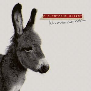 Логотип песни Sztos-2 исполнителя Elektryczne Gitary