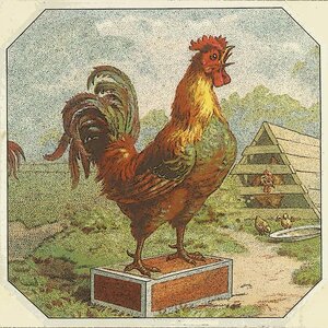 Логотип песни Yardbird Suite исполнителя Carmen McRae, Mat Mathews Quintet