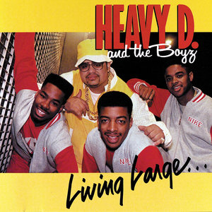 Логотип песни Don't You Know исполнителя Heavy D., THE BOYZ