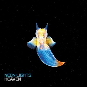 Логотип песни Slow Down исполнителя Neon Lights