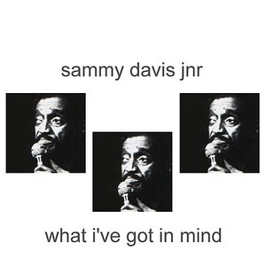 Логотип песни The River’s Too Wide исполнителя Sammy Davis, Jr.
