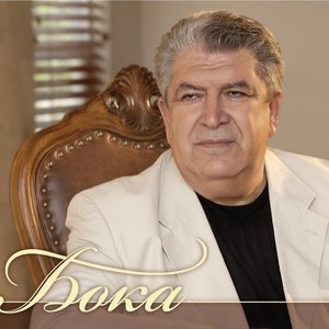 Логотип песни Безумно я люблю исполнителя Бока